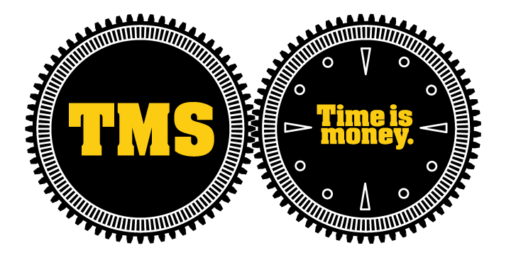 TMS.2GearAnimated3